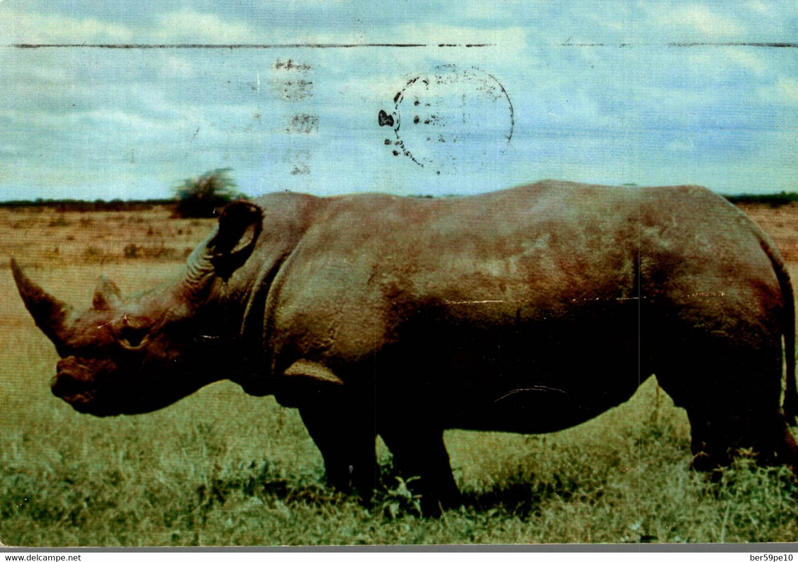 KENYA RHINOCEROS - Rinoceronte