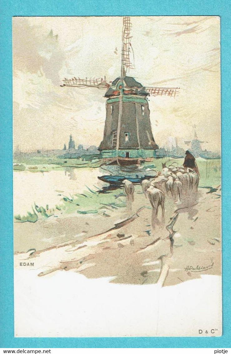 * Edam (Noord Holland - Nederland) * (D. & Cie) Illustration, Moulin, Molen, Berger, Mouton, Vache, Old, Rare - Edam