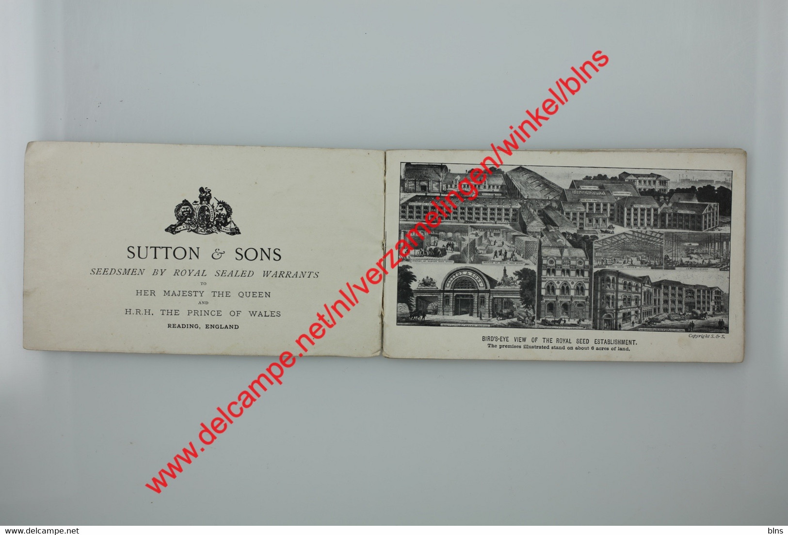 The Royal Seed Establishment Reading - Sutton & Sons - Booklet - Reading