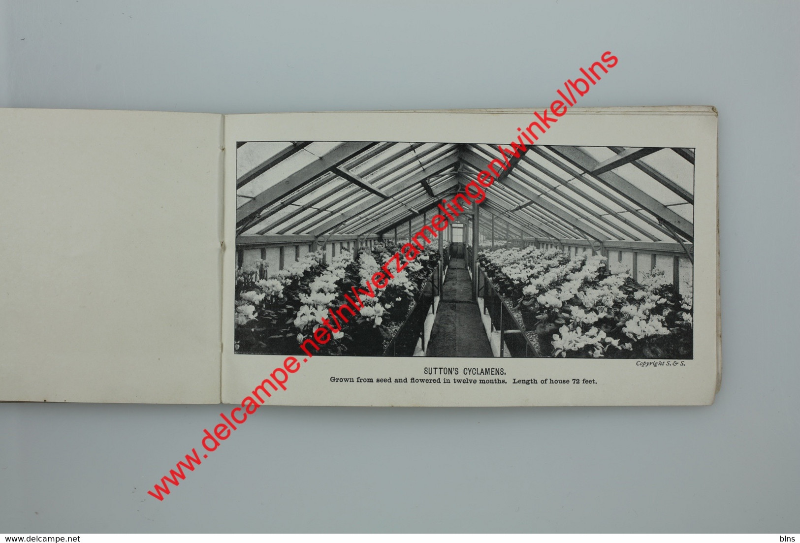 The Royal Seed Establishment Reading - Sutton & Sons - booklet