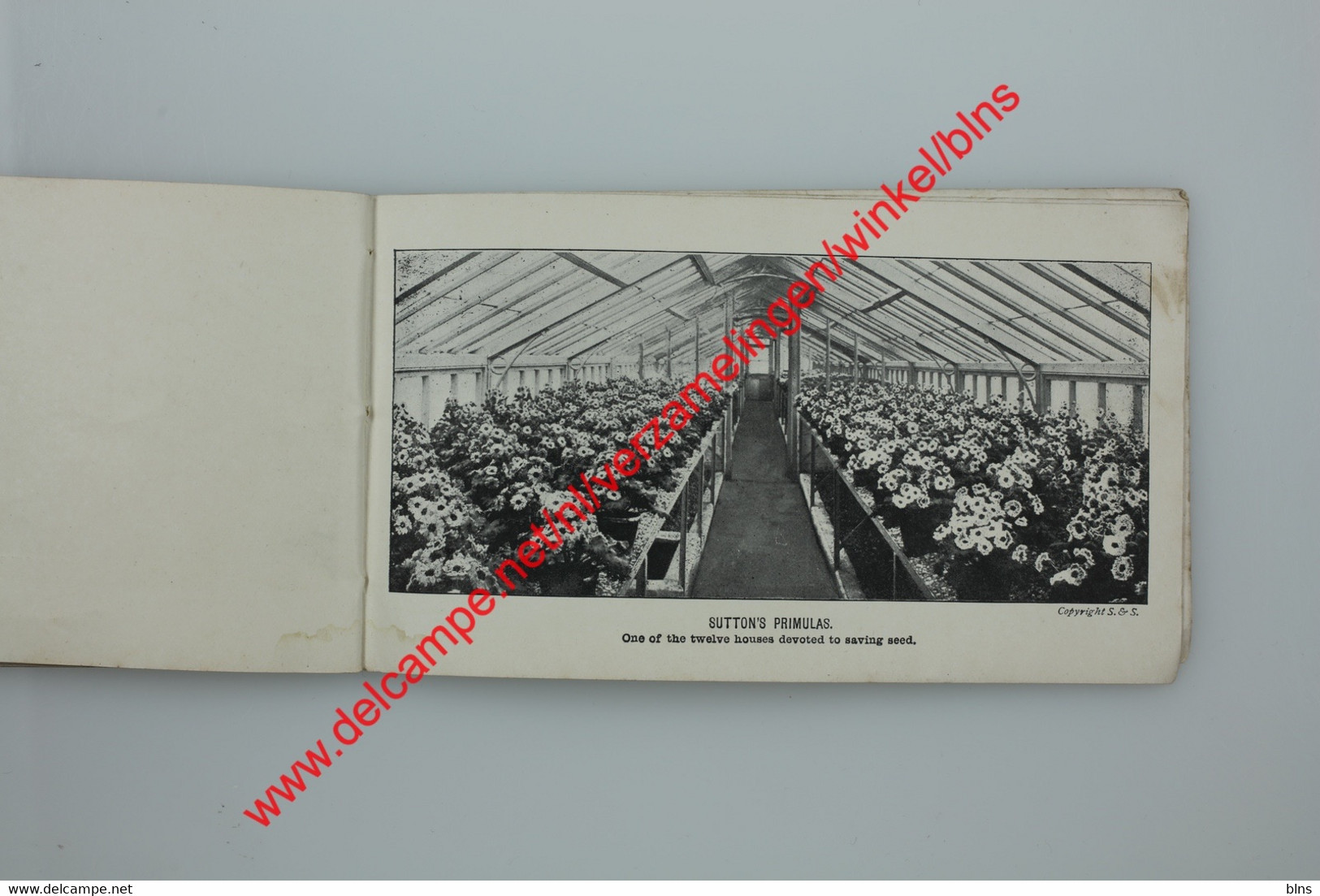 The Royal Seed Establishment Reading - Sutton & Sons - booklet