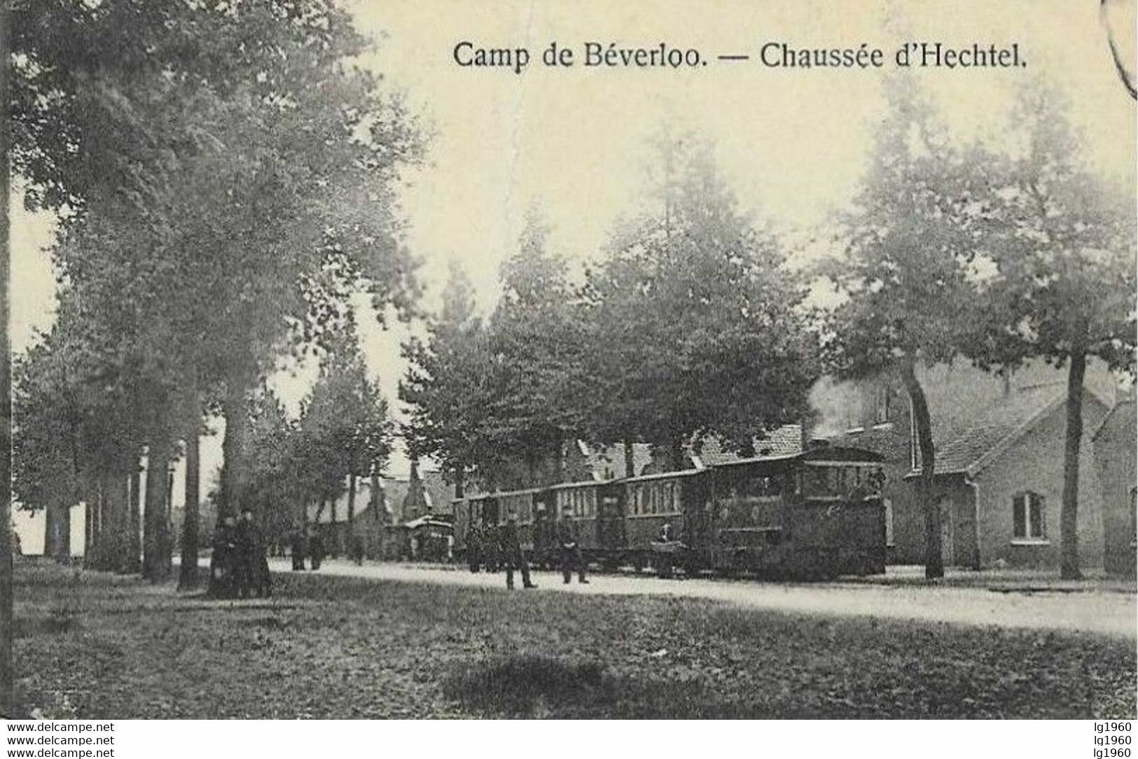 Camp De Beverloo - Chaussée D'Hechtel - Met Tram ! - Leopoldsburg (Beverloo Camp)