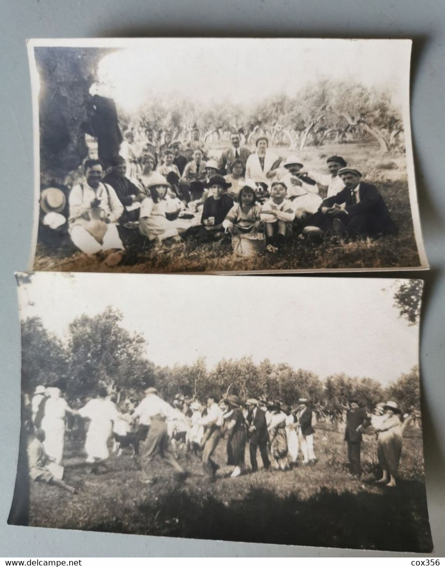 2 Cpa Fête Familiale sous les Olivier Colonie Française à Identifié