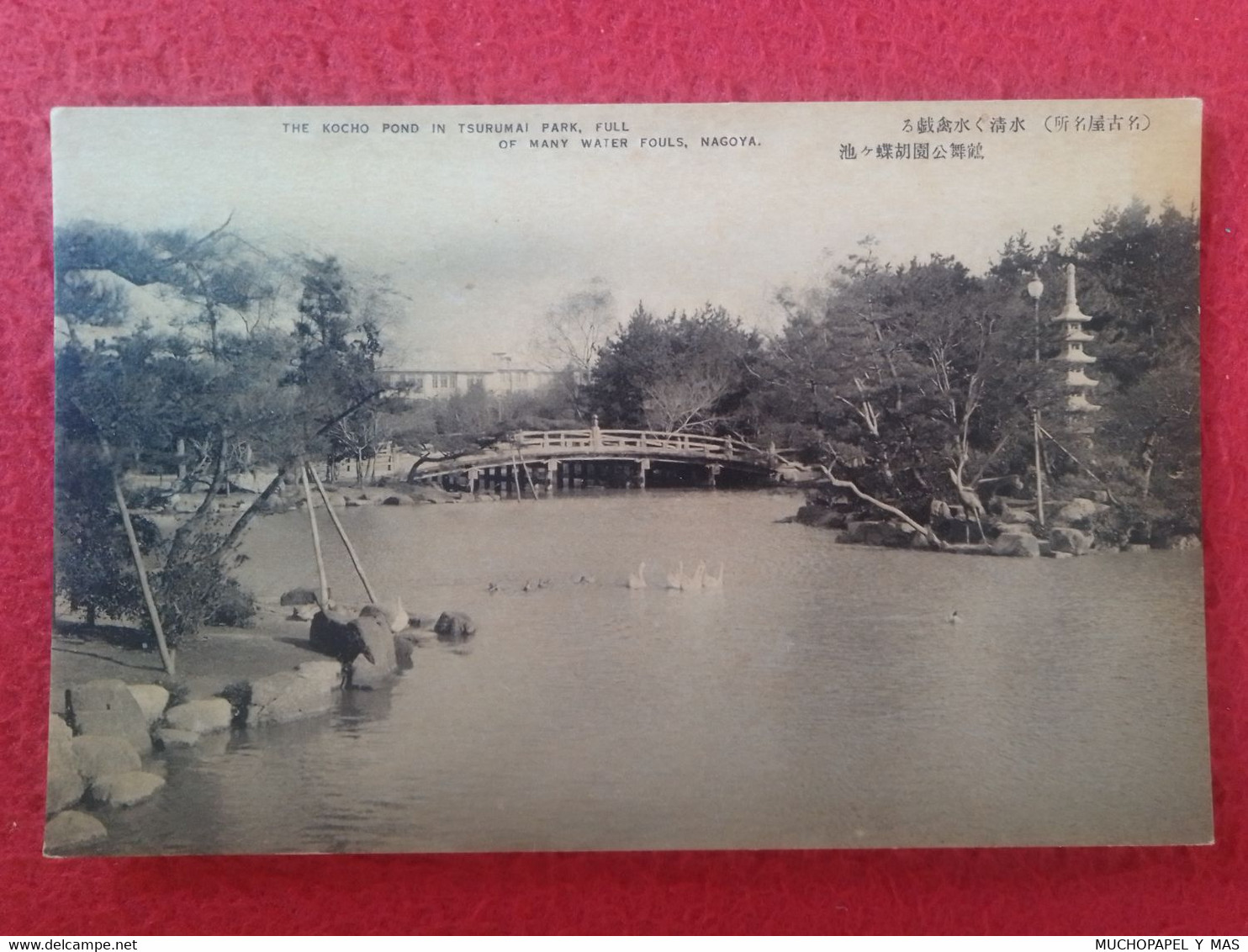 POSTAL OLD POST CARD JAPAN NIPPON JAPÓN THE KOCHO POND IN TSURUMAI PARK, FULL OF MANY WATER FOULS, NAGOYA POSTKARTE ASIA - Nagoya