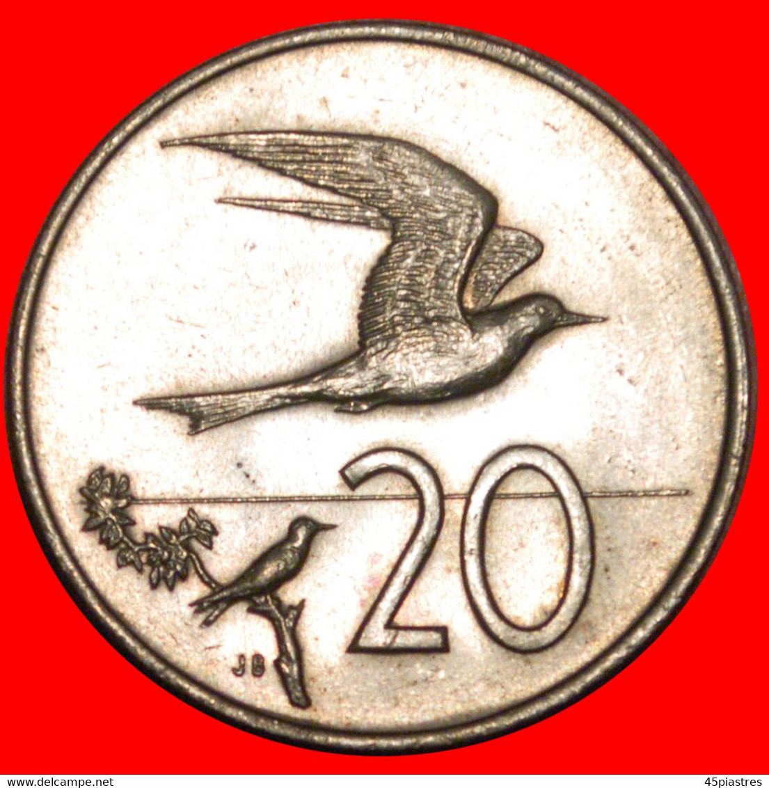 * BIRD TERN: COOK ISLANDS ★ 20 CENTS 1974! SMALL MINTAGE UNC MINT LUSTRE! UNCOMMON!!! LOW START ★ NO RESERVE! - Cookeilanden