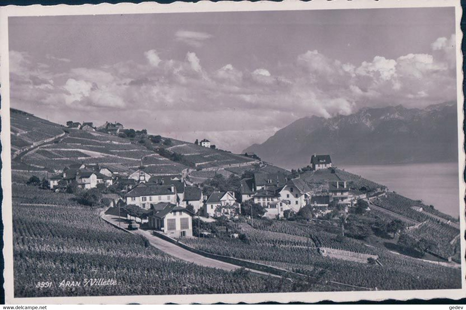 Lavaux VD, Aran Sur Villette, Vignes Et Léman (3991) - Villette