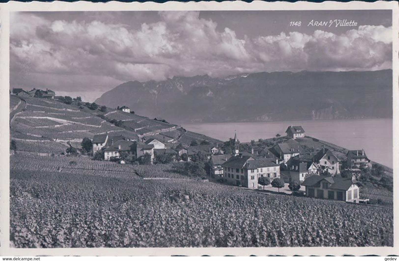 Lavaux VD, Aran Sur Villette, Vignes Et Léman (1148) - Villette