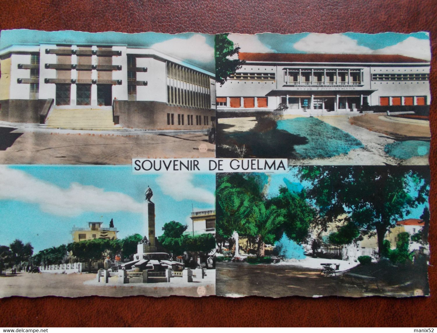 ALGÉRIE - GUELMA - Souvenir De Guelma. (CPSM Multivues) - Guelma