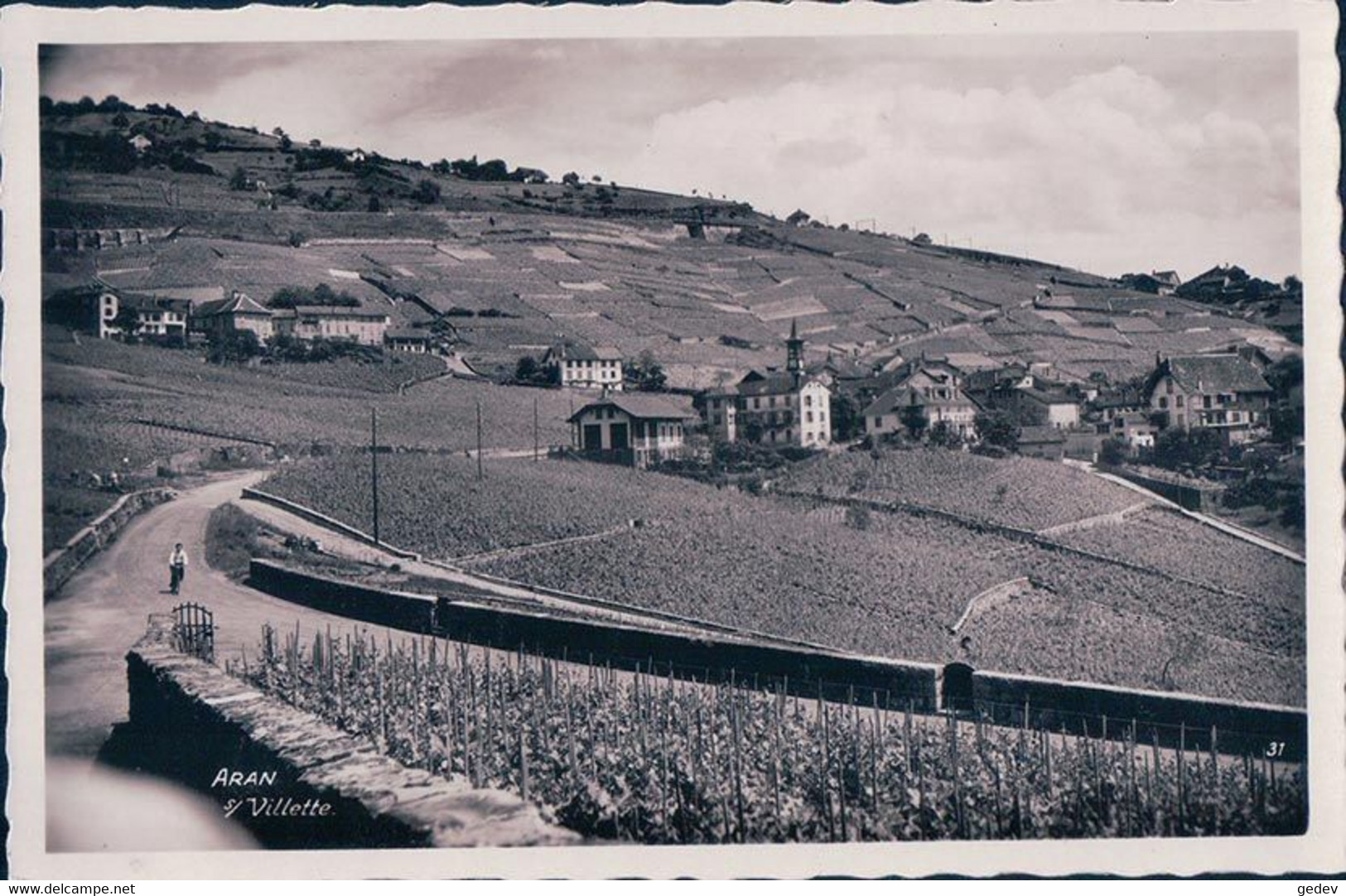 Lavaux VD, Aran Sur Villette, Vignes Et Léman (31) - Villette