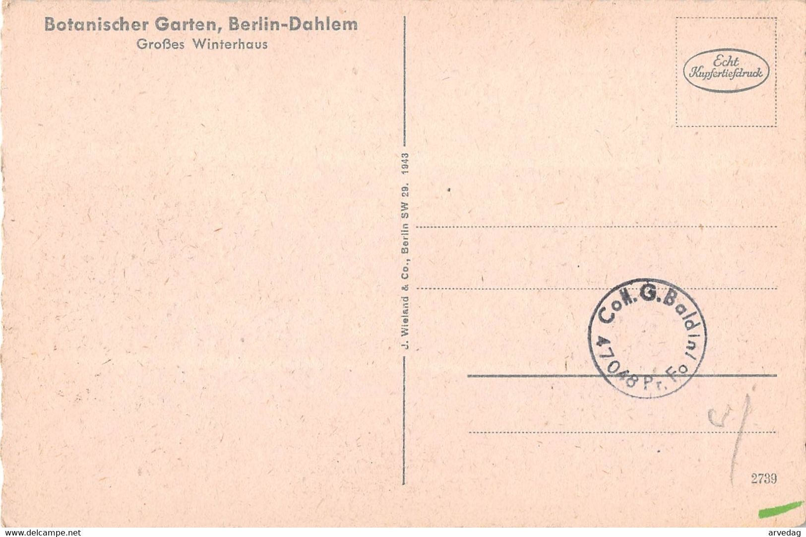 AG361  DEUTSCHLAND BERLIN - Dahlem