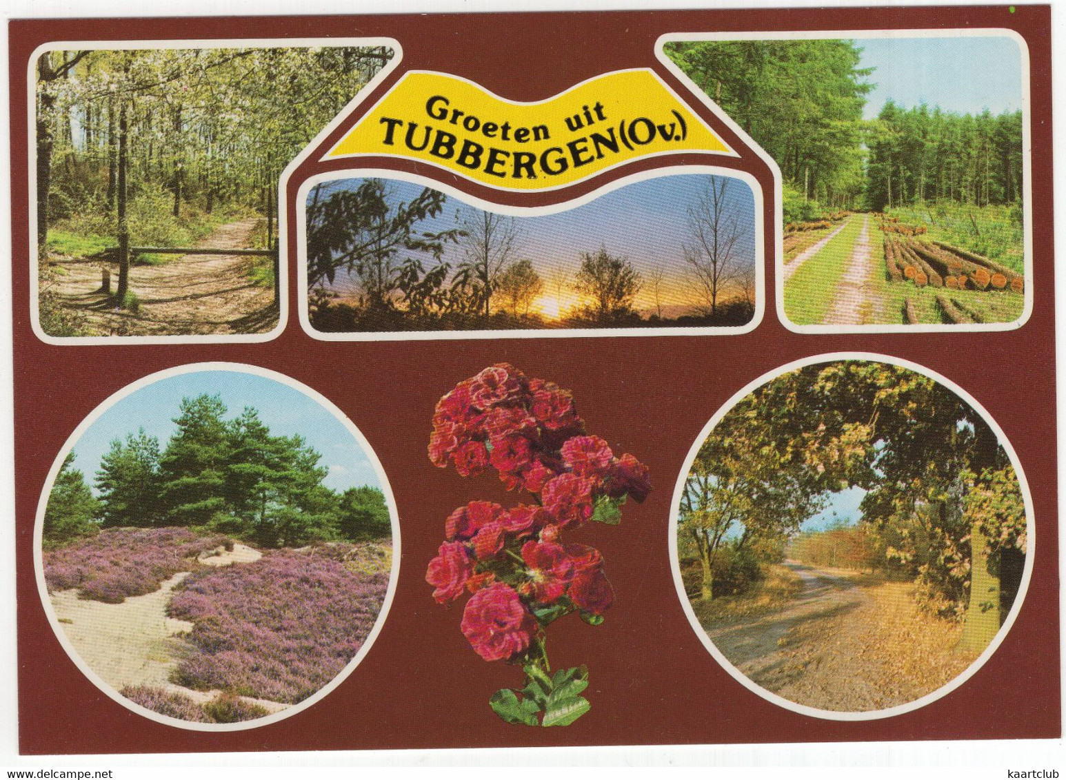 Groeten Uit Tubbergen (Ov.) - (Overijssel, Nederland / Holland) - Nr. F 4223 - Tubbergen