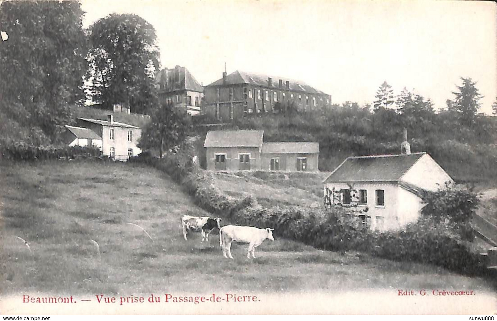 Beaumont - Vue Prise Du Passage-de-Pierre (Edit. Crèvecoeur) - Beaumont