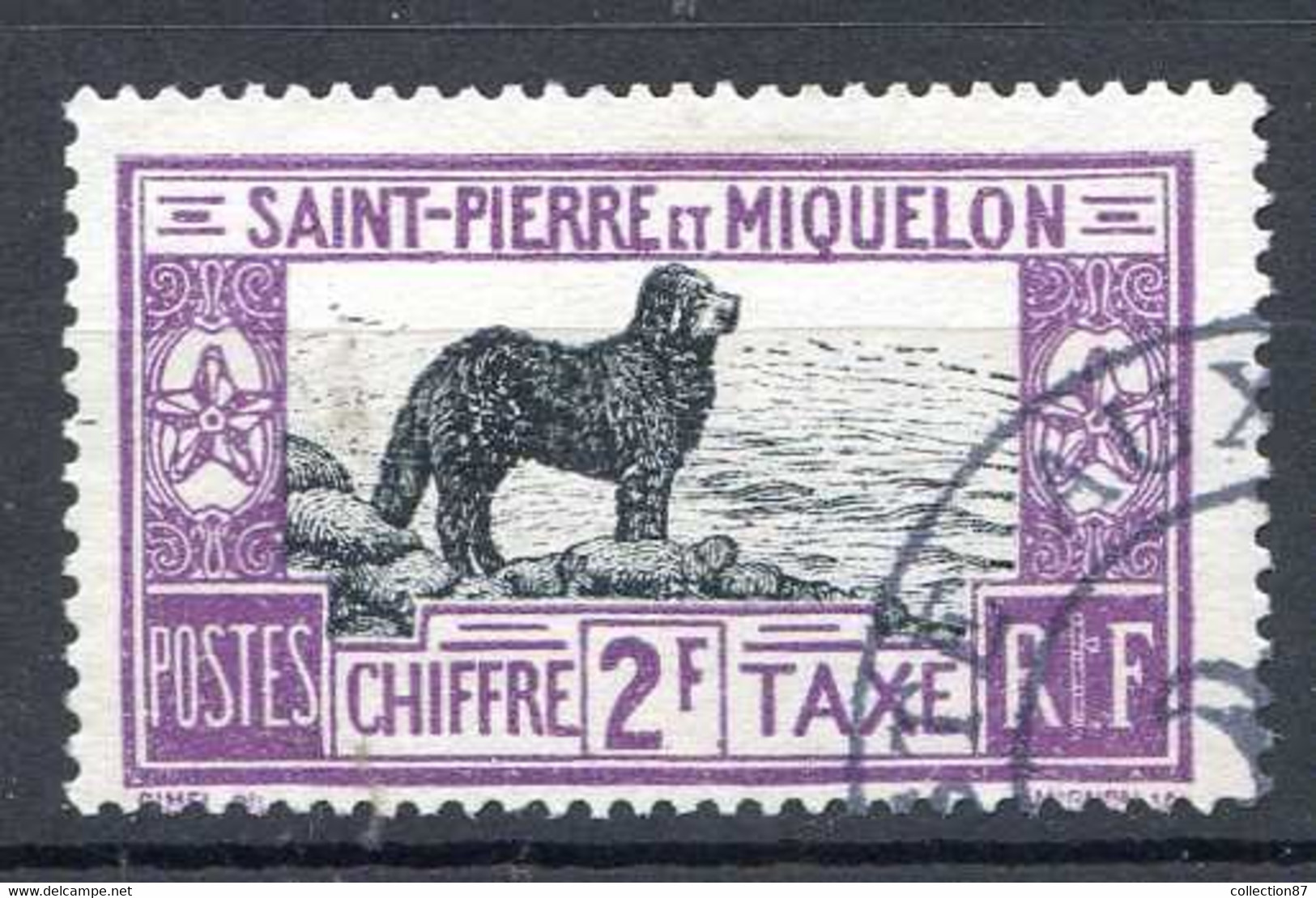 SAINT PIERRE Et MIQUELON < TAXE Oblitéré N° 30 Ø Used Ø Cote 58.00 € < CHIEN De TERRE NEUVE - CACHET POSTE Aux COLONIES - Timbres-taxe