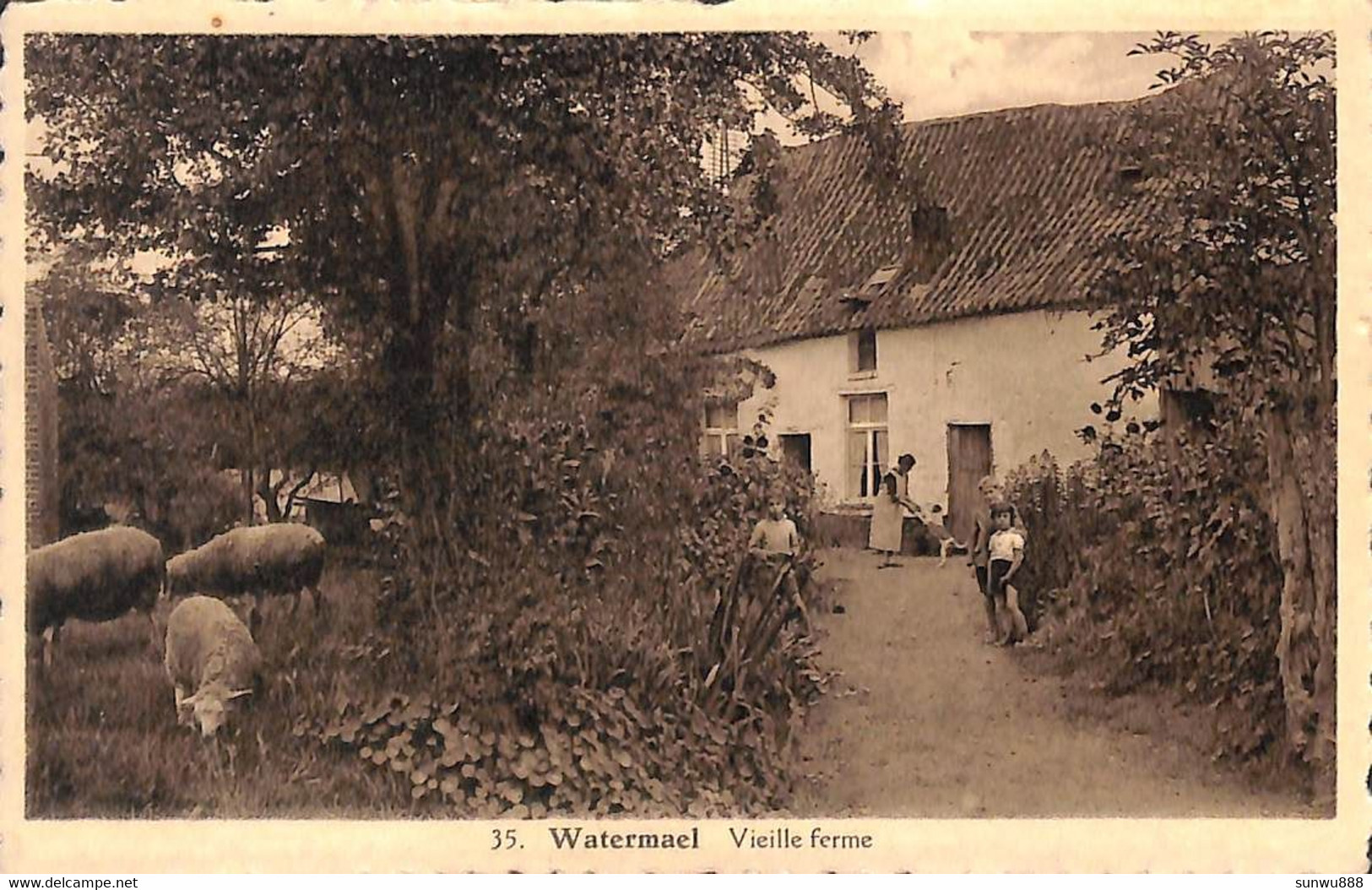 Watermael - Vieille Ferme (animée, P B L) - Watermaal-Bosvoorde - Watermael-Boitsfort