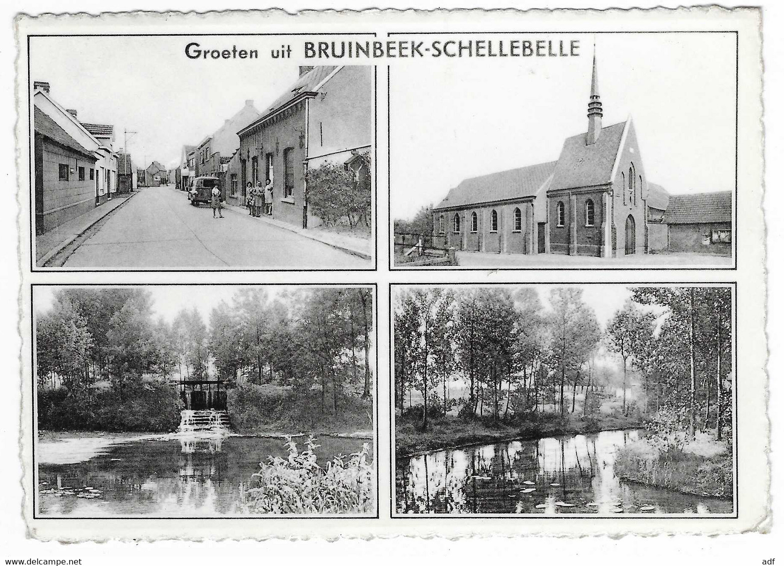 CPSM MULTIVUES GROETEN UIT BRUINBEEK - SCHELLEBELLE, WICHELEN, BELGIQUE - Wichelen