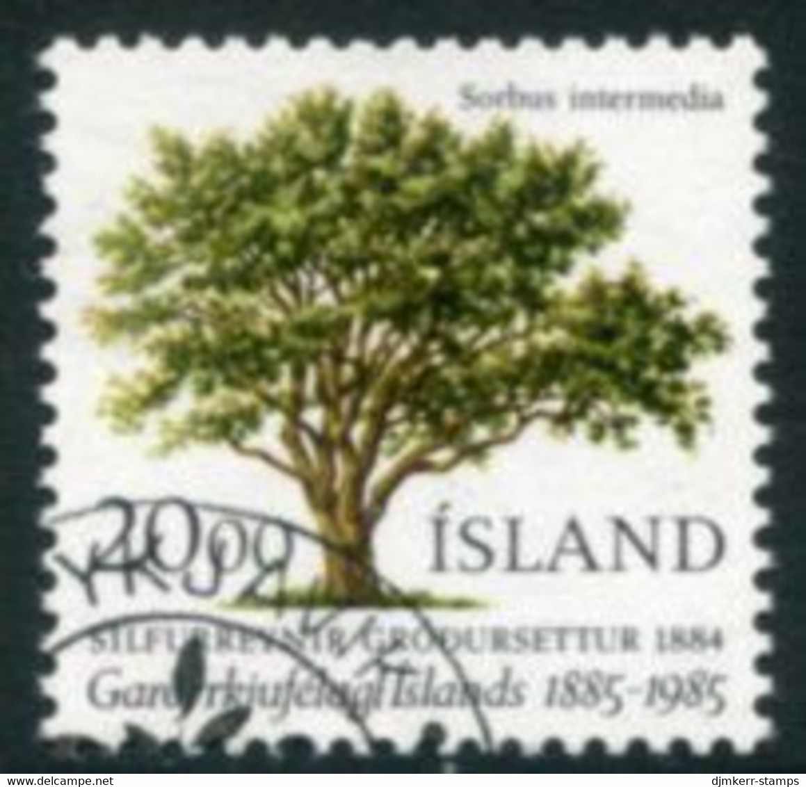 ICELAND 1985 Horticultural Society Centenary Used.  Michel 634 - Usati