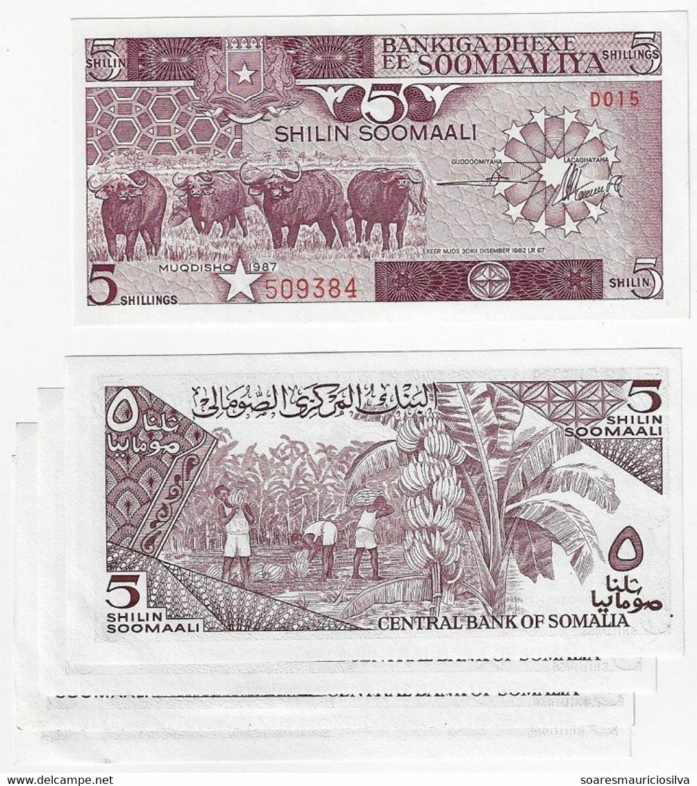 Somalia 5 Shilin Or 5 Shillings 5 Banknote 1987 Pick-31c Buffalo And Banana UNC (catalog US$ 5x5=25) - Somalia