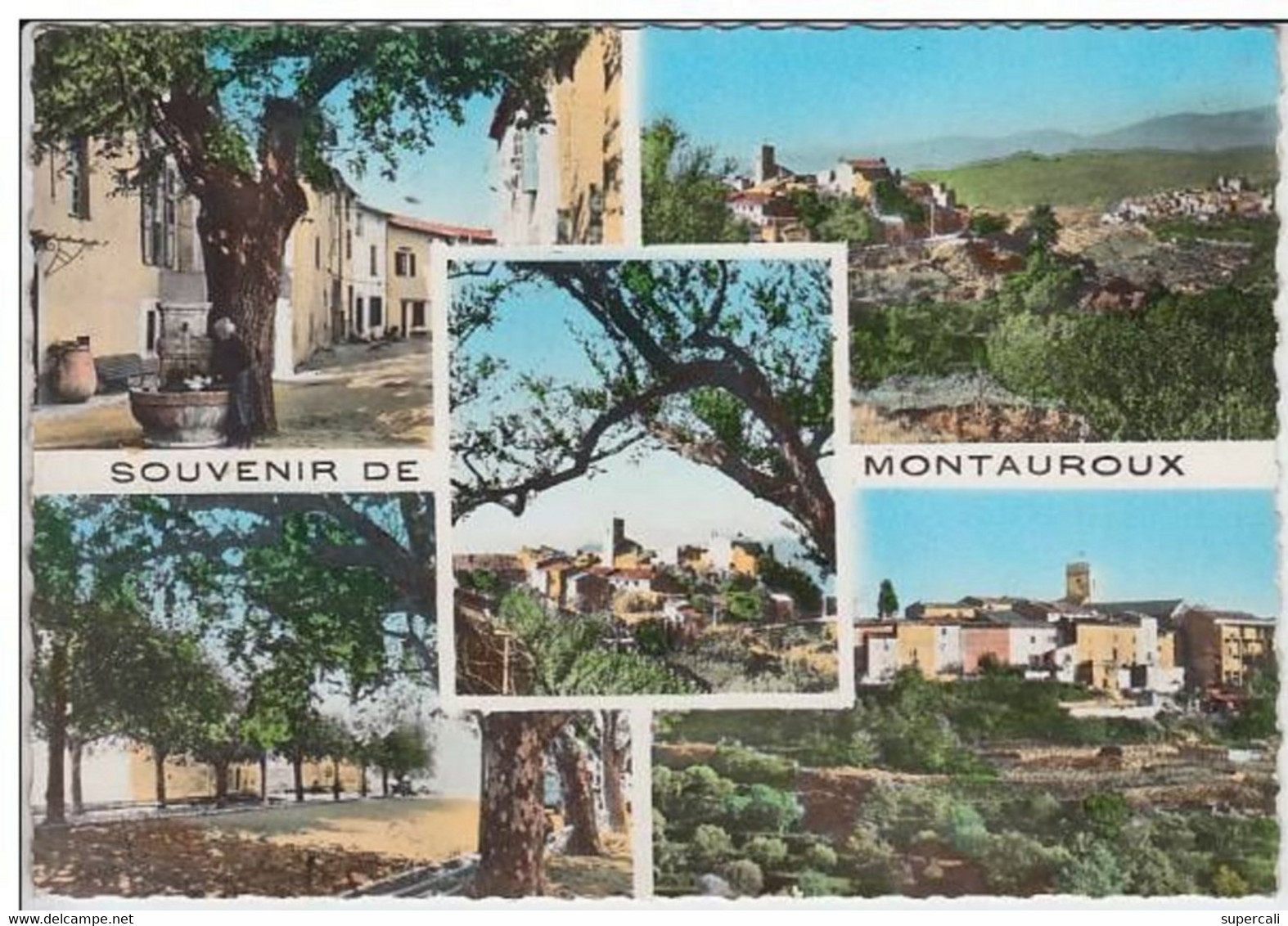 REF22.433  VAR. SOUVENIR DE MONTAUROUX.CINQ VUES DU VILLAGE. - Montauroux