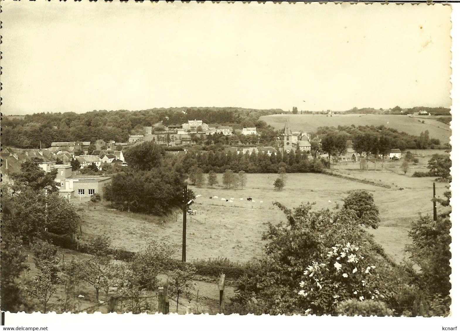 CP De LASNE " Panorama " - Lasne