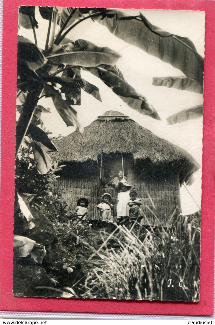 ILE  De  La  REUNION  , Paillottes  Et  Bananiers    Cpsm  9 X 14 . - Otros & Sin Clasificación