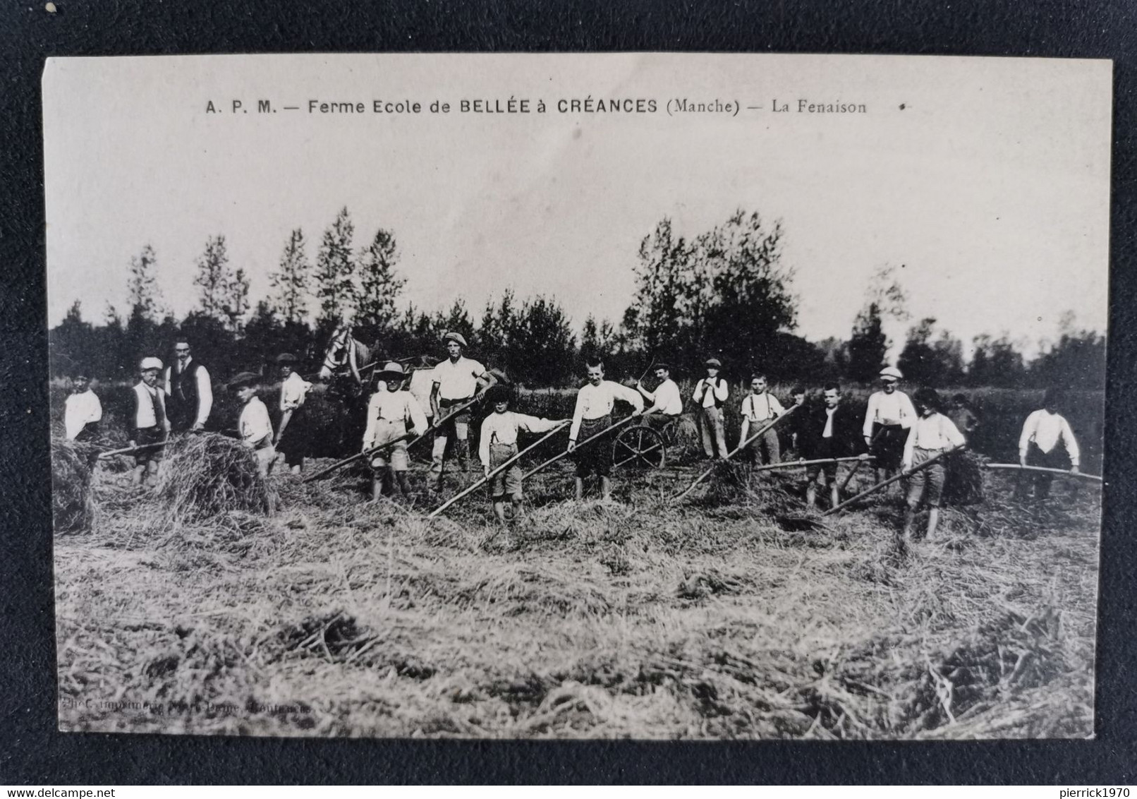 CPA / FERME ECOLE DE BELLEE A CREANCES / MANCHE / LA FENAISON / ANIMEE / PAYSANS / AGRICULTURE - Otros & Sin Clasificación