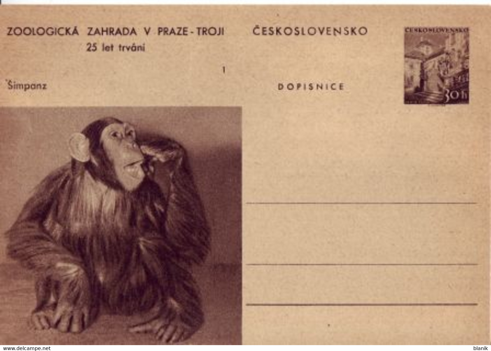 CDV 130 / 01 ** - 1956 ■ Bildpostkarte ZOO In Prag / Schimpanse - šimpanz - Unclassified