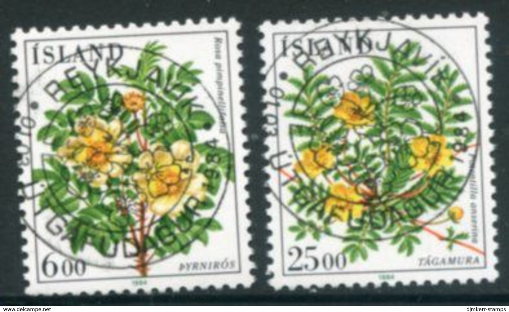 ICELAND 1984 Flowers II Used.  Michel 612-13 - Usati