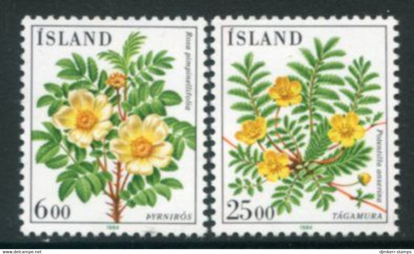 ICELAND 1984 Flowers II MNH / **.  Michel 612-13 - Ungebraucht