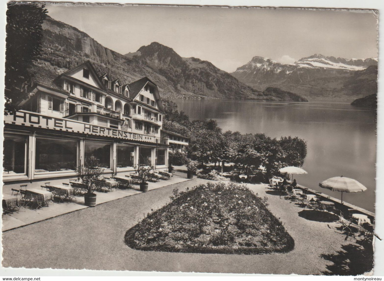 Suisse :  Hotel Hertenstein  : Vue - Stein