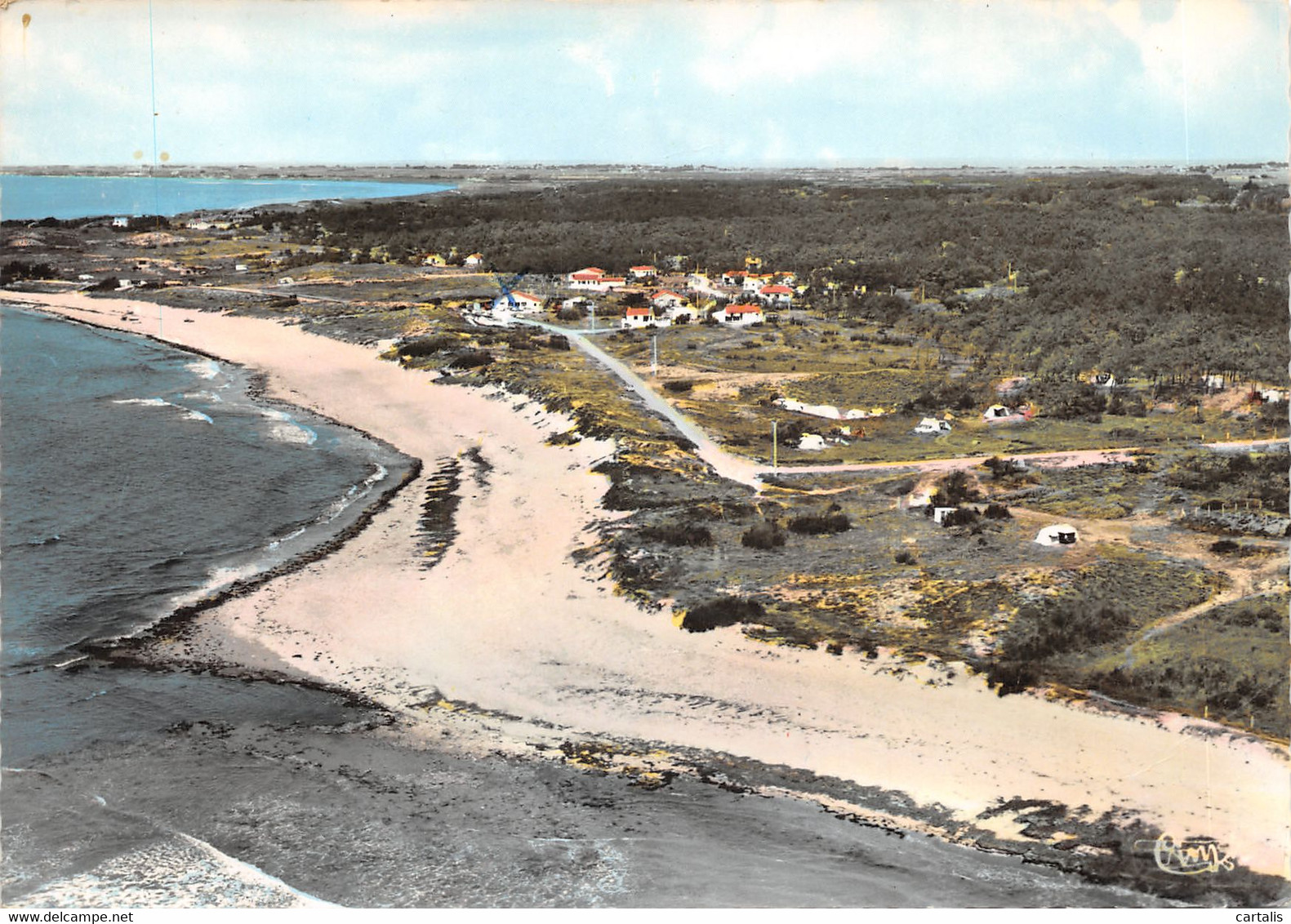 17-ILE D OLERON-N°597-C/0311 - Ile D'Oléron