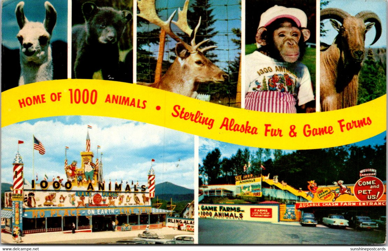 New York Adirondacks Lake Placid & Ausable Chasm Sterling Alaska Fur & Game Farms 1975 - Adirondack