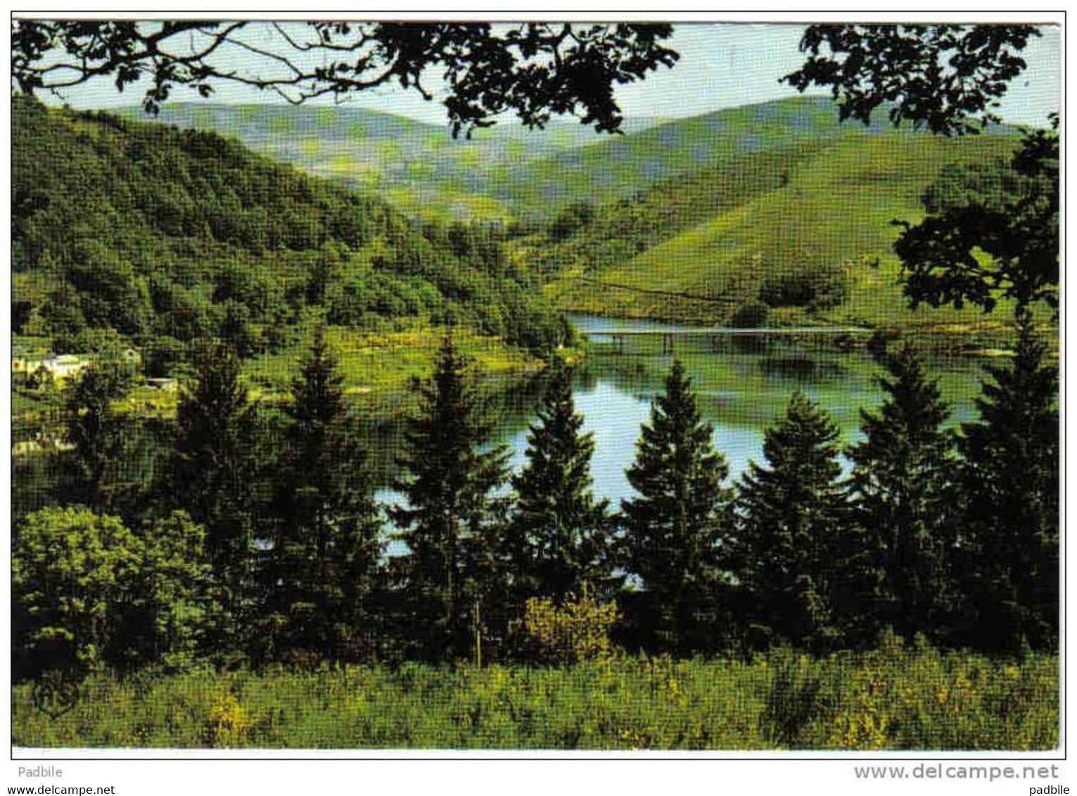 Carte Postale  81.  La Salvetat-sur-Agout  Lac De La Raviège  Le Pont De Calas  Très Beau Plan - Angles