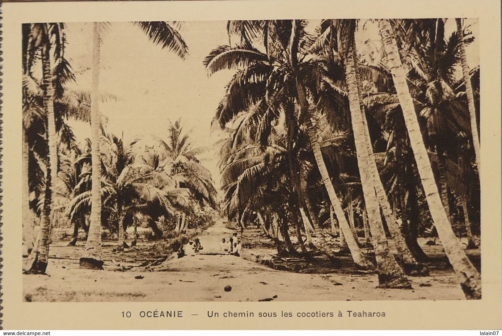 C. P. A. : Polynésie Française : Tahiti : Un Chemin Sous Les Cocotiers à TEAHAROA - Tahiti