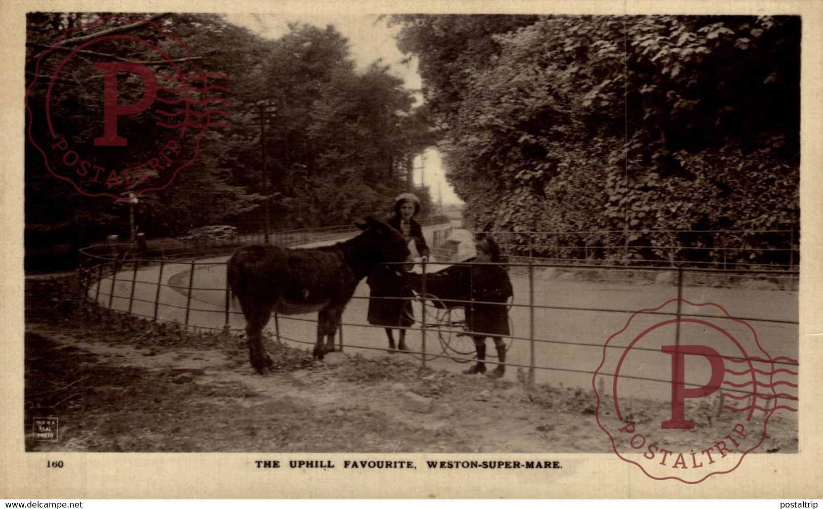 RPPC CARTE PHOTO WESTON SUPER MARE UPHILL FAVOURITE  BURROS   ANE DONKEY EZEL - Weston-Super-Mare