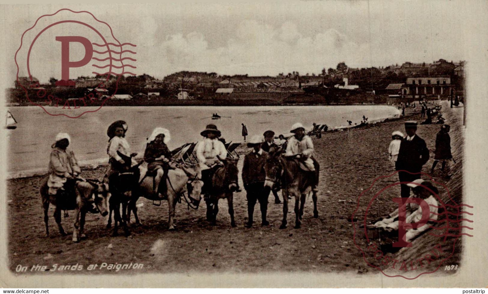 CARTE PHOTO  DEVON SANDS PAIGNTON   RP   BURROS ANE DONKEY EZEL - Paignton