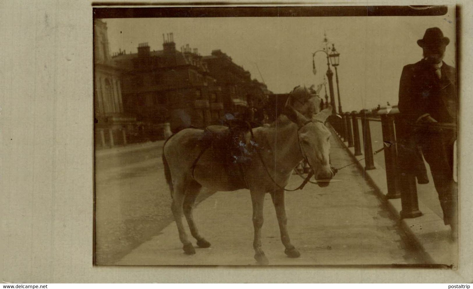 CARTE PHOTO  RAMSGATE   RP   BURROS ANE DONKEY EZEL - Ramsgate