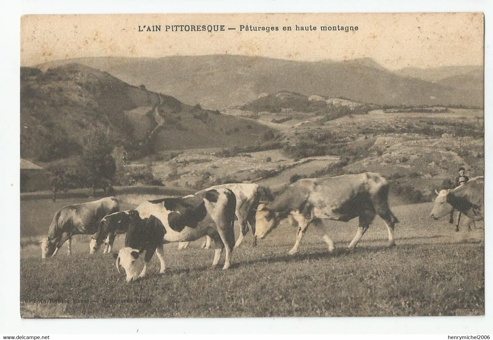 01 L'ain Pittoresque Troupeau De Vaches Paturages En Haute Montagne Ed Photo Ehrer , Bellegarde - Bellegarde-sur-Valserine