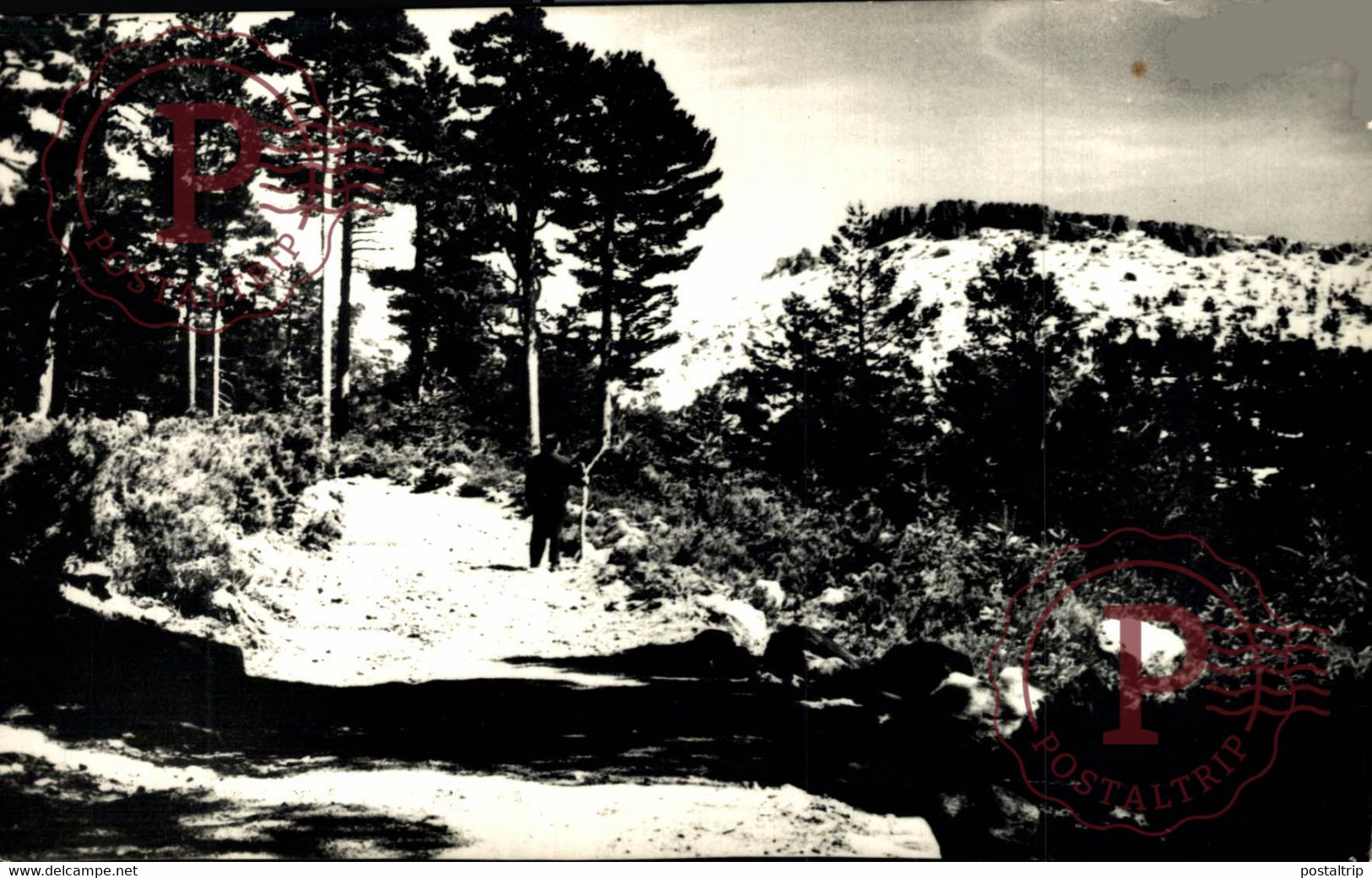 SORIA. DURUELO DE LA SIERRA. PICO DEL NACIMIENTO. - Soria