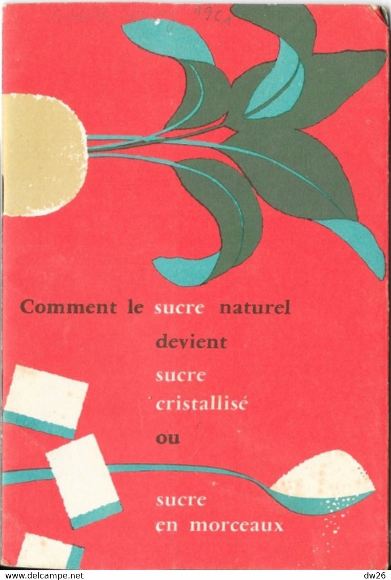 Fascicule CEDUS: Comment Le Sucre Naturel Devient Sucre Cristallisé Ou Sucre En Morceaux - 24 Pages - Knutselen / Techniek