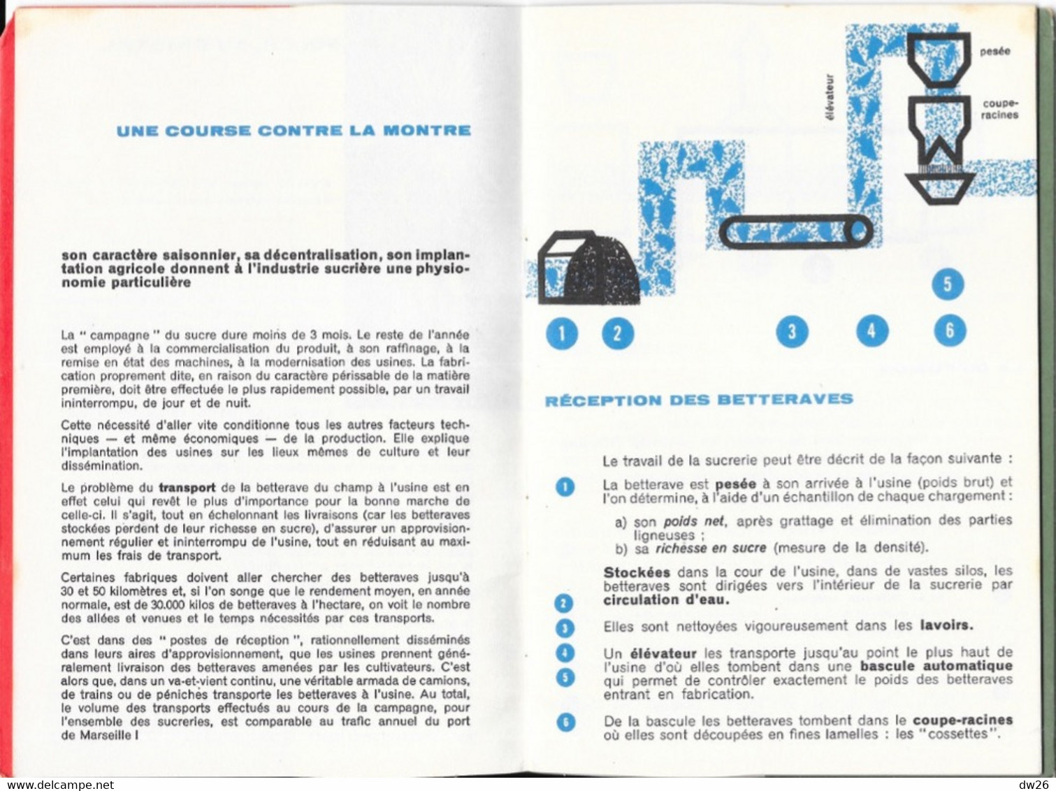 Fascicule CEDUS: Comment Le Sucre Naturel Devient Sucre Cristallisé Ou Sucre En Morceaux - 24 Pages - Bricolage / Técnico