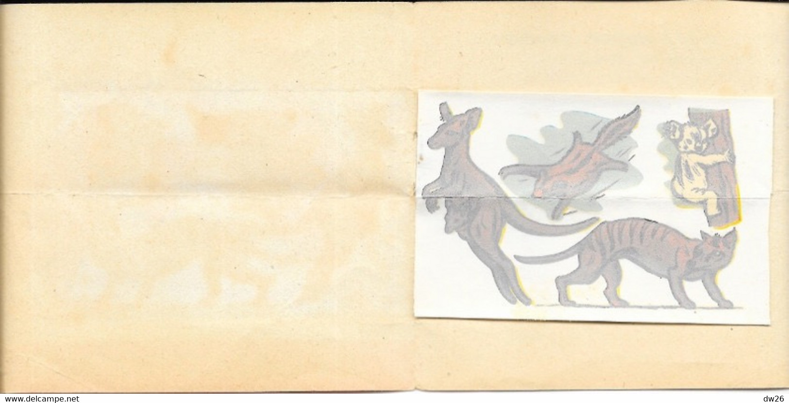 Images Décalcomanie, Animaux Sauvage (Kangourous) Illustration M. Rainaud - Editions Jesco-Imagerie, Paris - Autres & Non Classés
