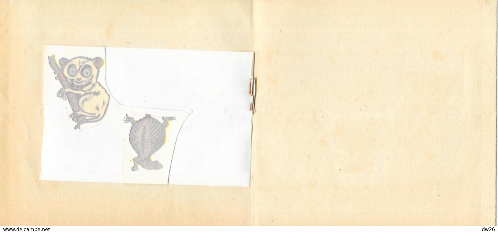 Images Décalcomanie, Animaux Sauvage (Kangourous) Illustration M. Rainaud - Editions Jesco-Imagerie, Paris - Autres & Non Classés