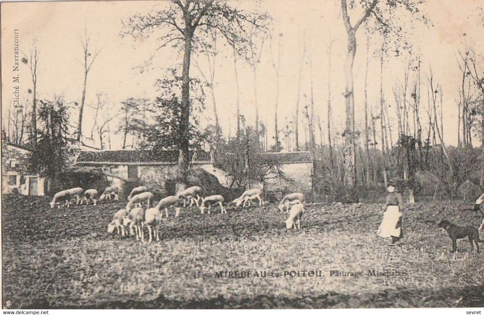 MIREBEAU-en-POITOU. -  Pâturage Mirebalais. Carte RARE - Mirebeau