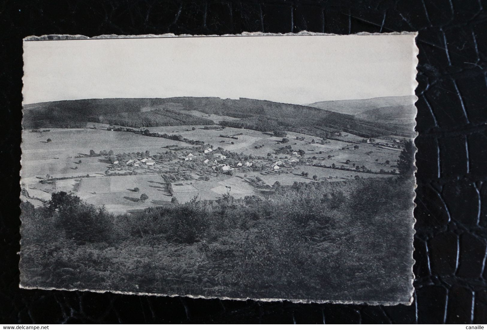 &-269 / Roanne, Panorama Vu De La Fagne ( L'Ardenne Pittoresque ) / - Amblève - Amel