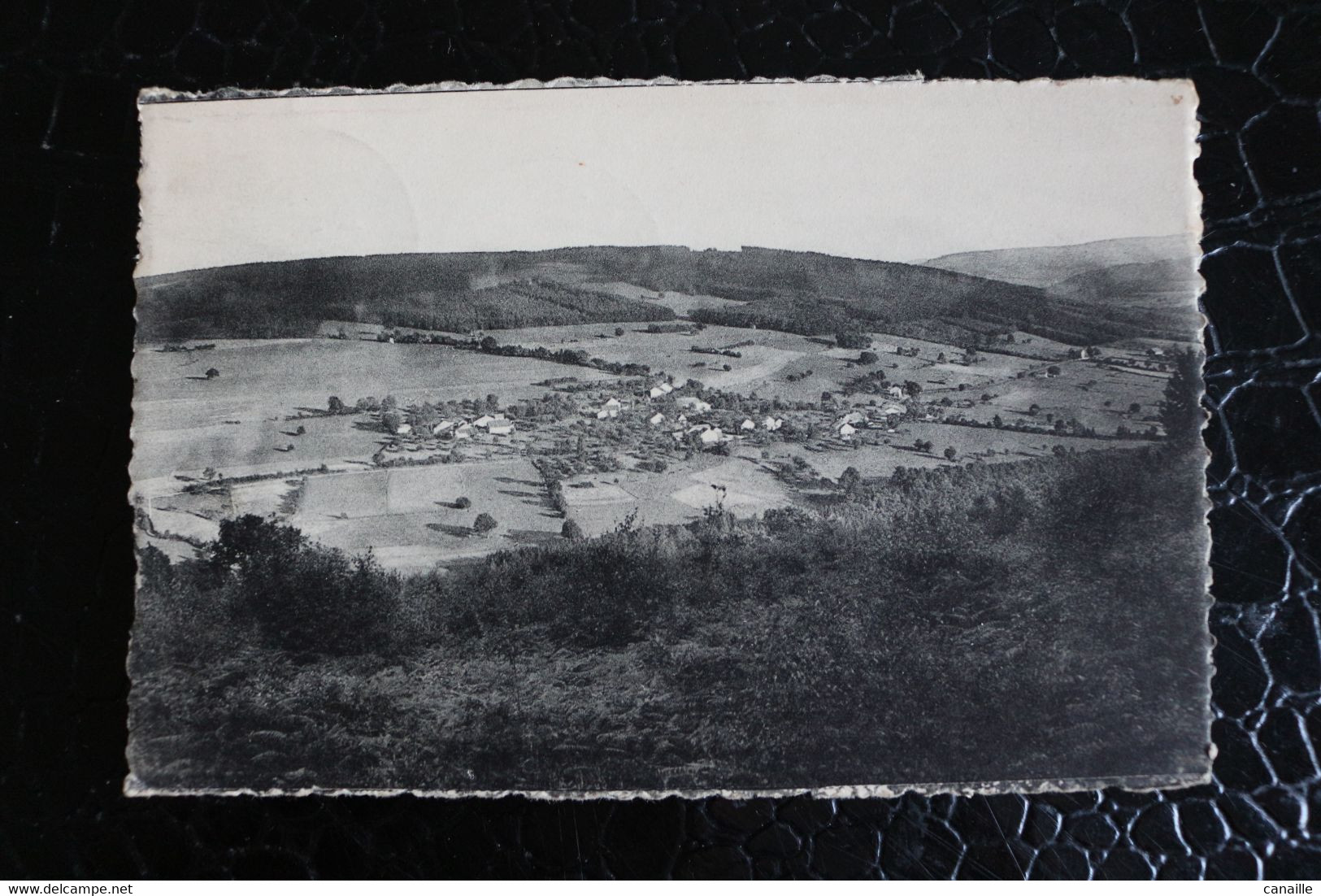 &-270 / Roanne, Panorama Vu De La Fagne ( L'Ardenne Pittoresque ) / 1957 - Ambleve - Amel