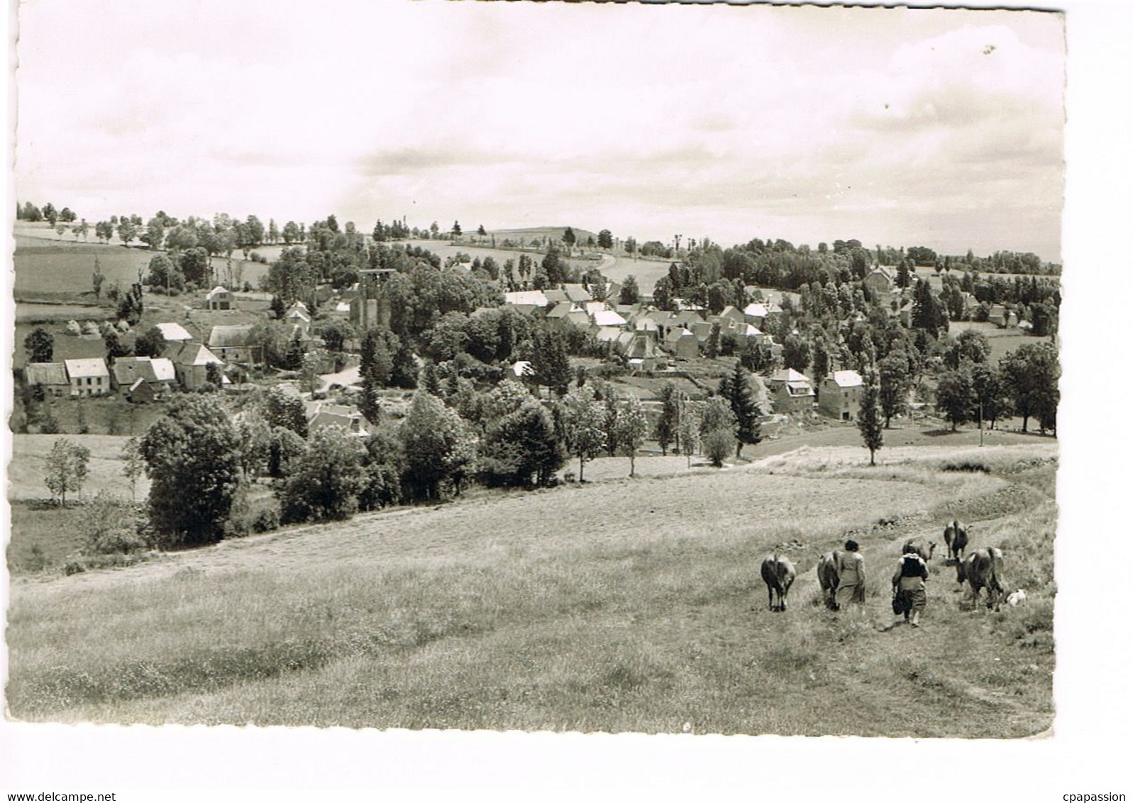 CEZENS- Cantal - Alt 1097 - CPSM  Circulée 1963- Photo-Editions BOS -Aurillac N° 1007 - Altri & Non Classificati