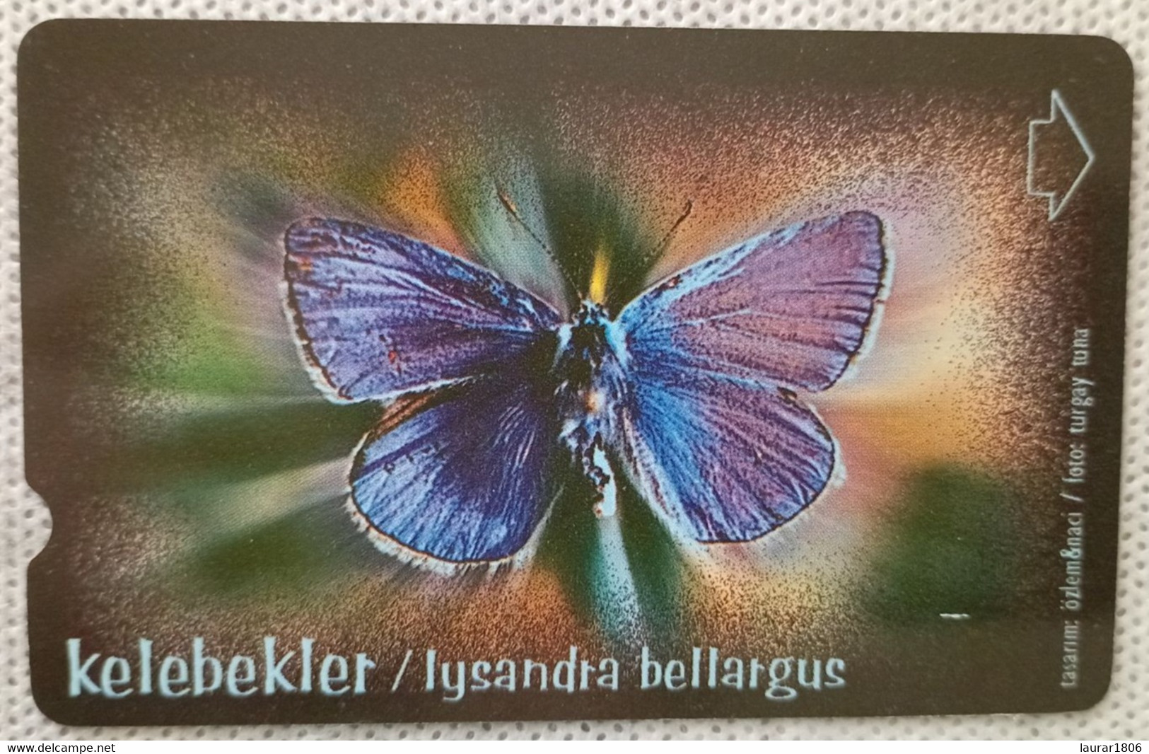 TELECARTE PHONECARD MAGNETIQUE TURQUIE - TÜRK TELEKOM - Animal / Insecte / Papillon / Azuré - 30 U - 2002 - EC - Türkei