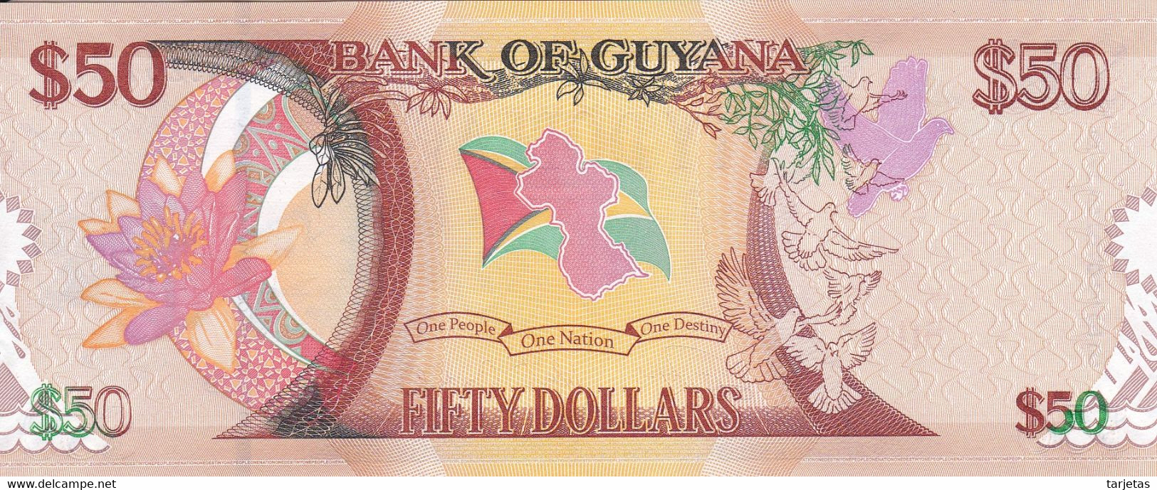 BILLETE DE GUYANA DE 50 DOLLARS DEL AÑO 2016 SIN CIRCULAR (UNC) (BANK NOTE) - Guyana