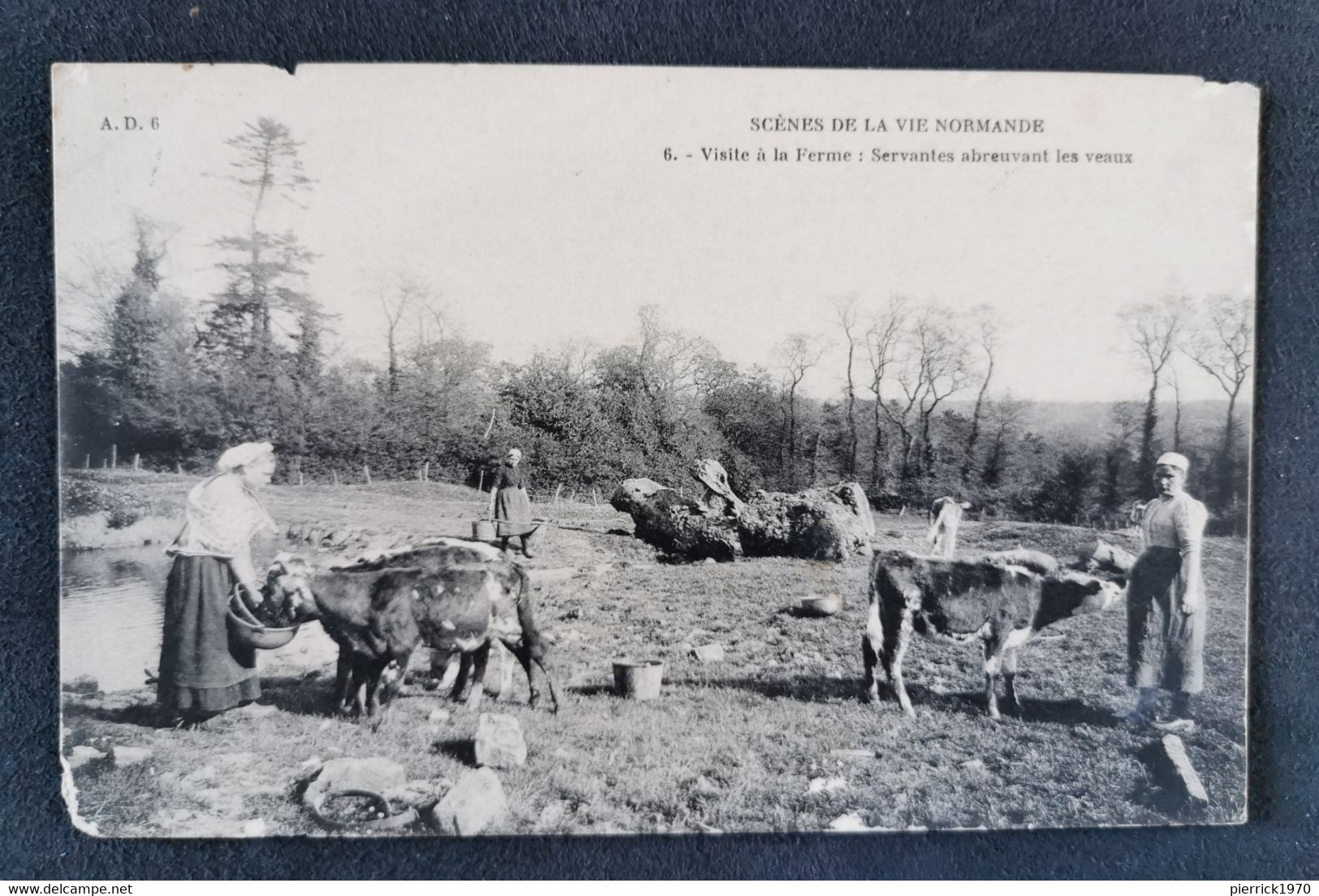 CPA / SCENE DE LA VIE NORMANDE / VISITE A LA FERME / SERVANTES ABREUVANT LES VEAUX  / ANIMEE++++ - Other & Unclassified