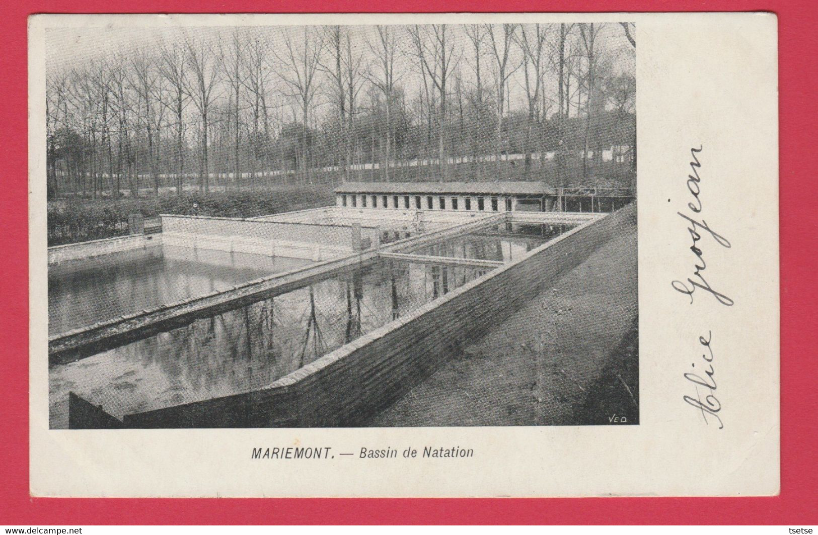 Mariemont - Bassin De Natation - 1903  ( Voir Verso ) - Morlanwelz